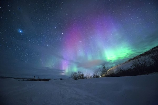 Arctic northern lights